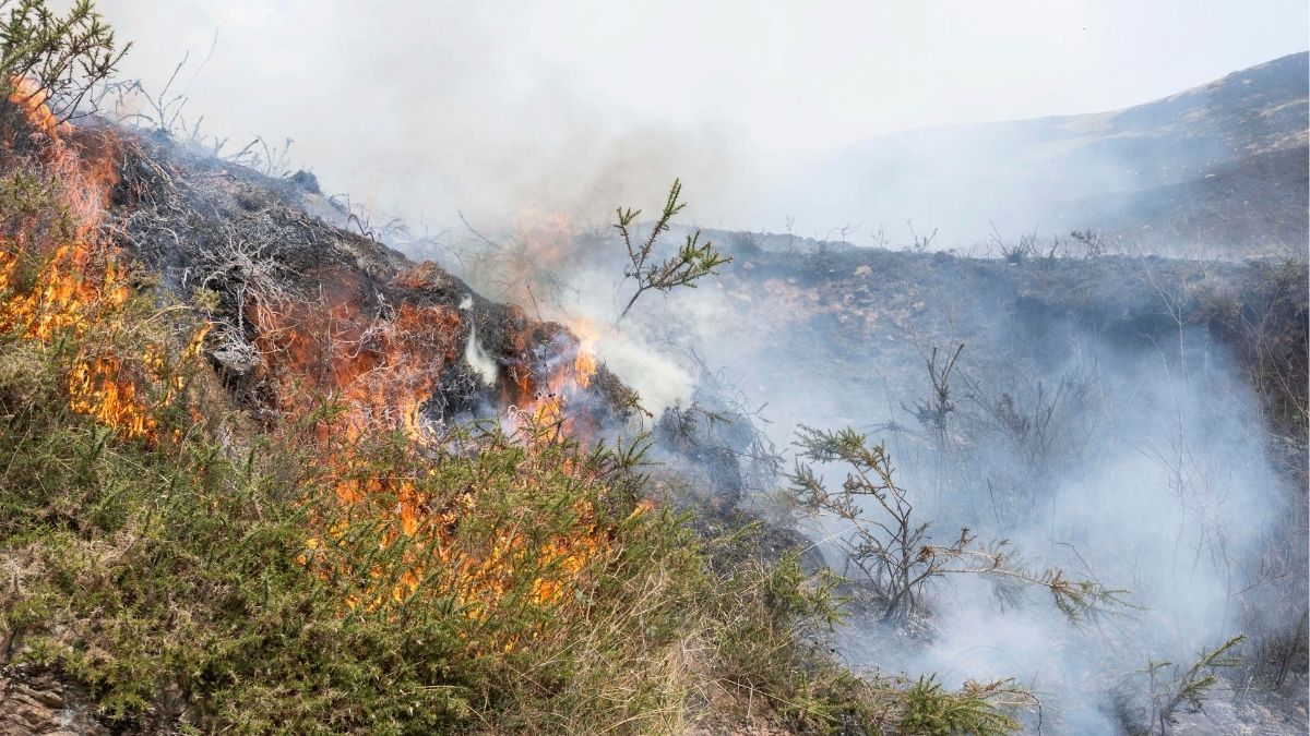 Cantabria reduce a siete los incendios forestales activos