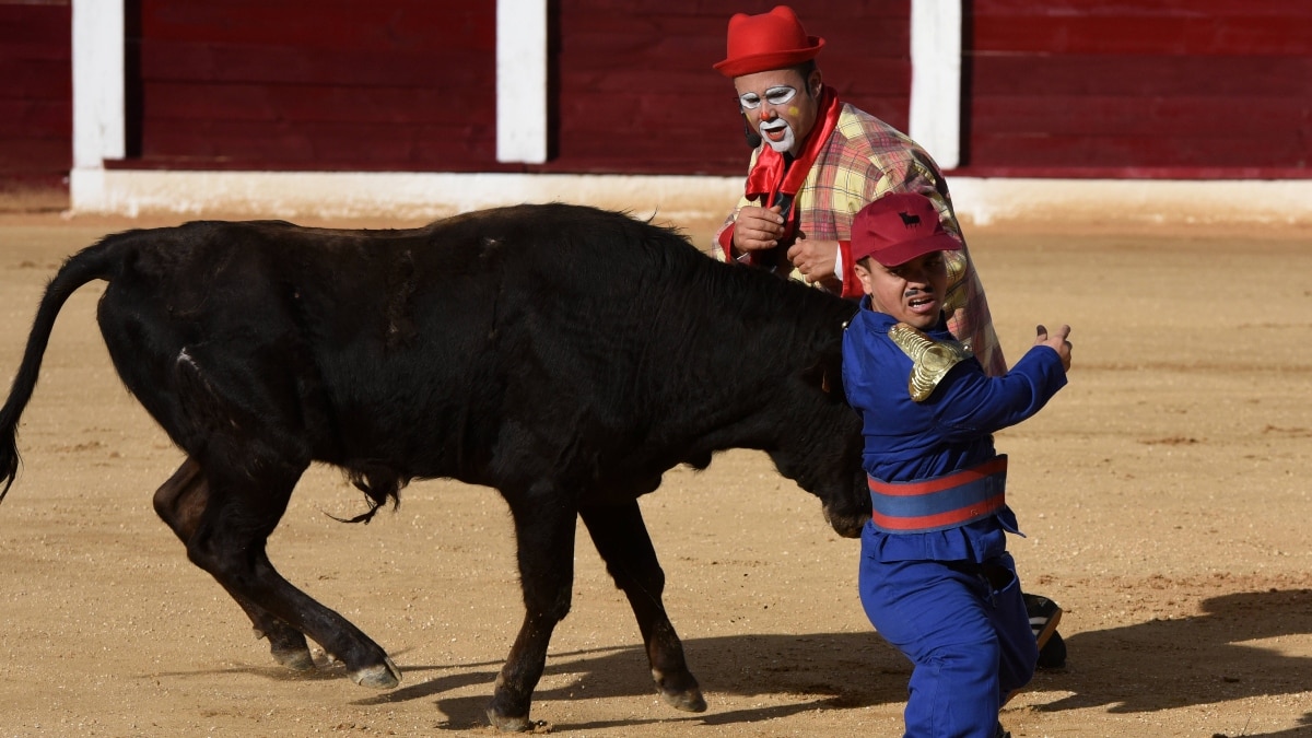 España prohíbe el bombero-torero en el reglamento taurino