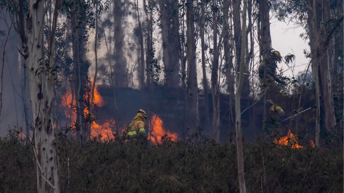 Cantabria mantiene alerta máxima por incendios forestales