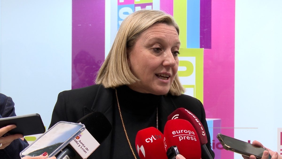 Castilla y León espera plan sobre menores extranjeros