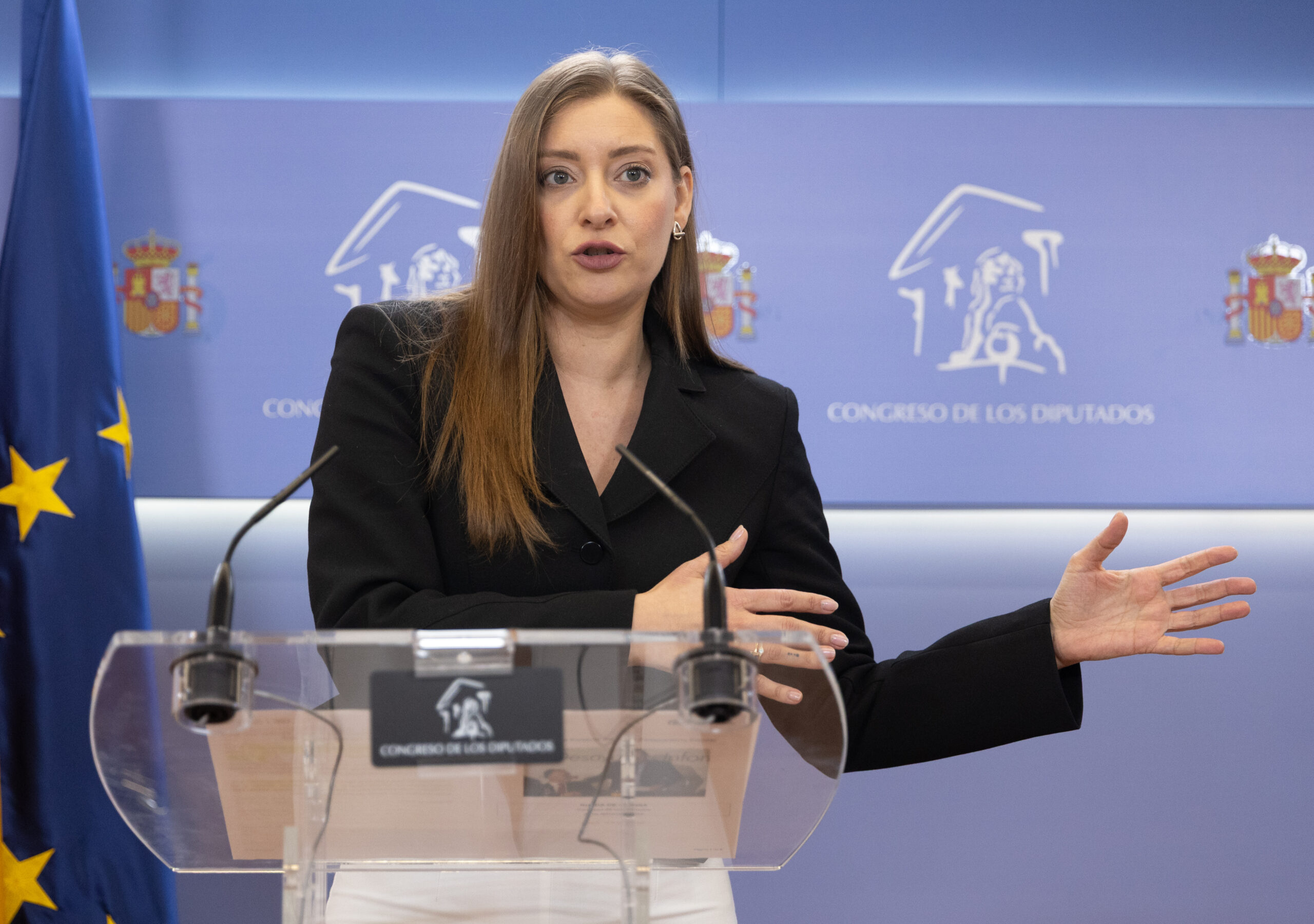 El PP pide cuentas al Gobierno por liberar al etarra Txeroki