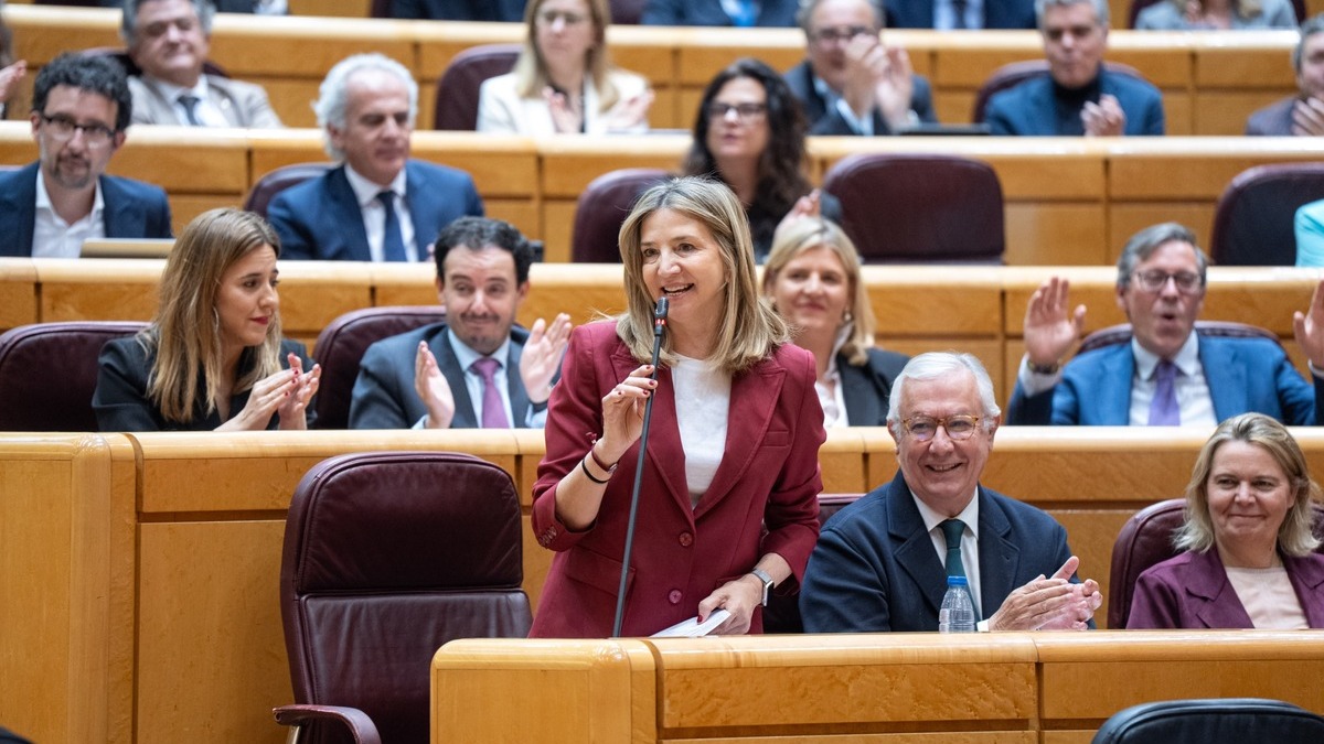 PP exige al Senado los papeles de Air Europa y Plus Ultra