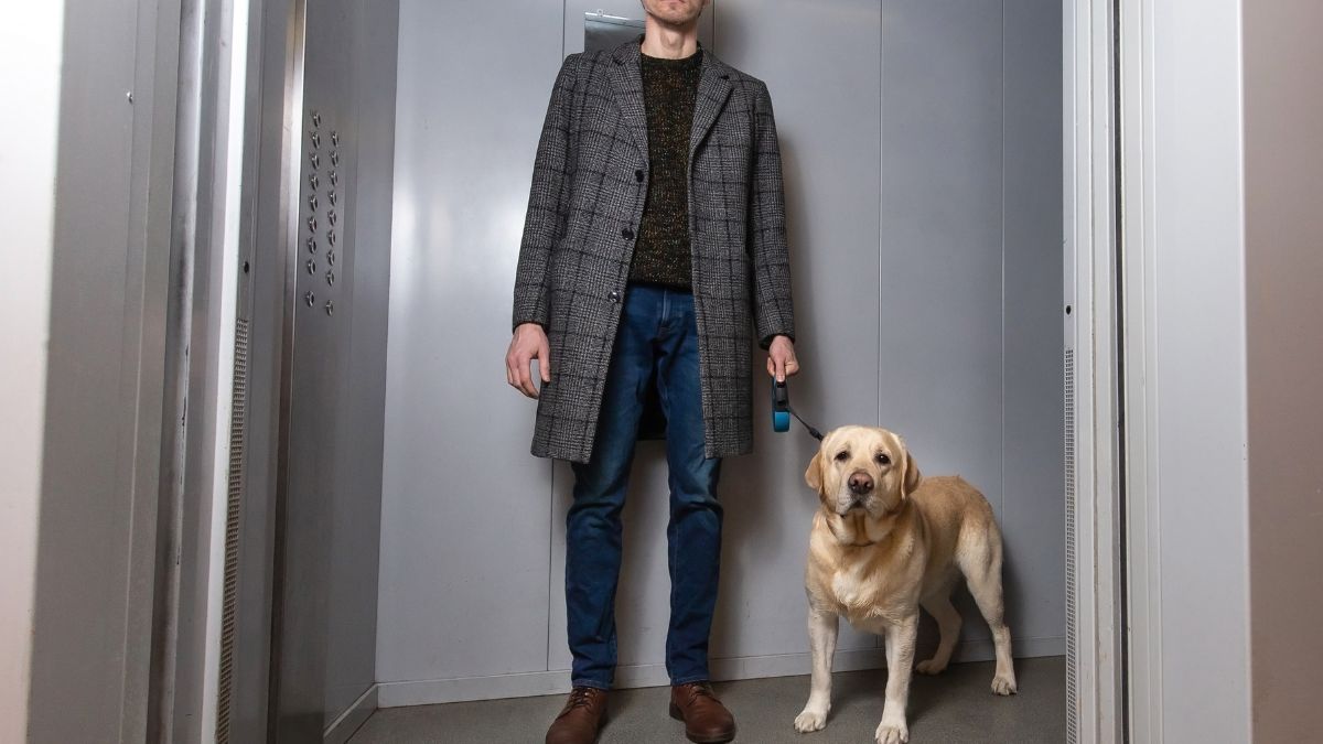 Perros en el ascensor: qué dice la Propiedad Horizontal