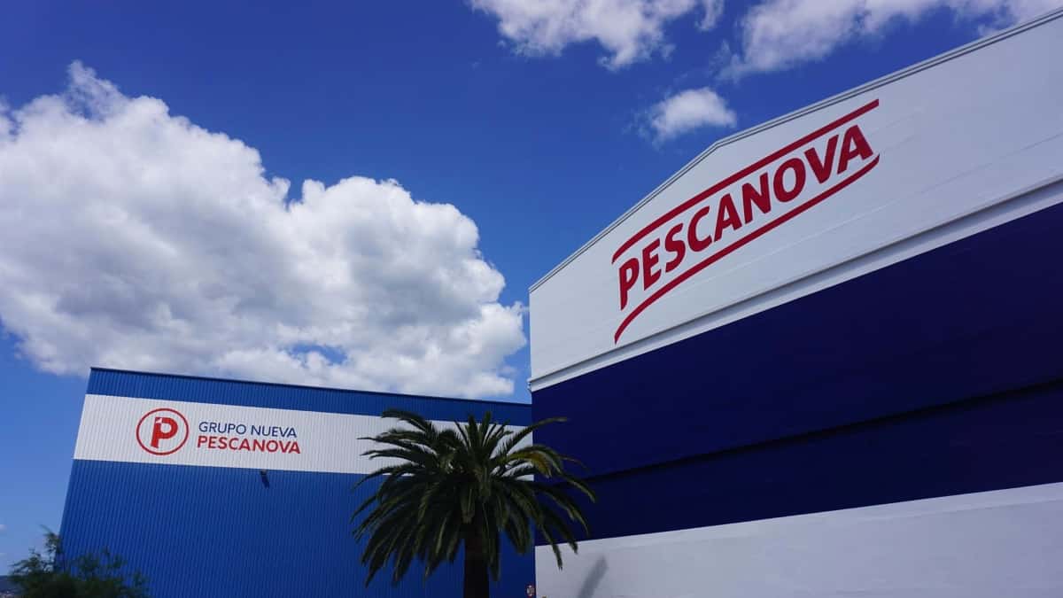 Abanca pierde 500 millones en Pescanova y busca comprador