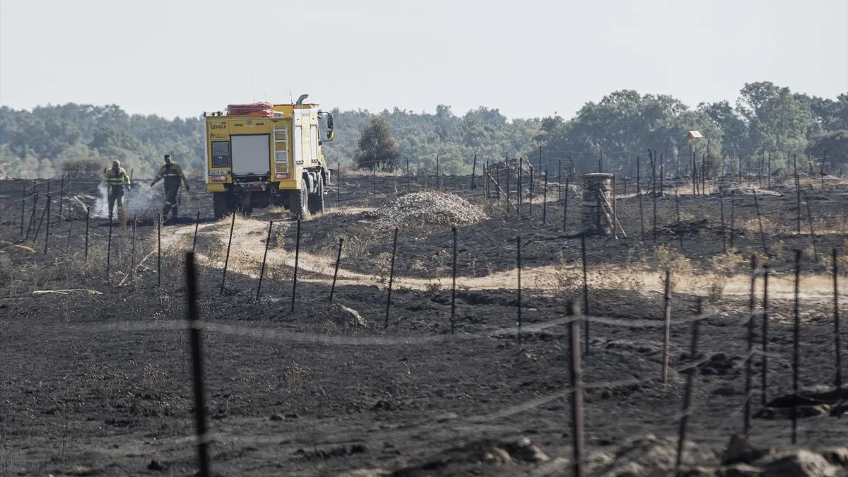 España duplica la superficie quemada: 120.000 hectáreas