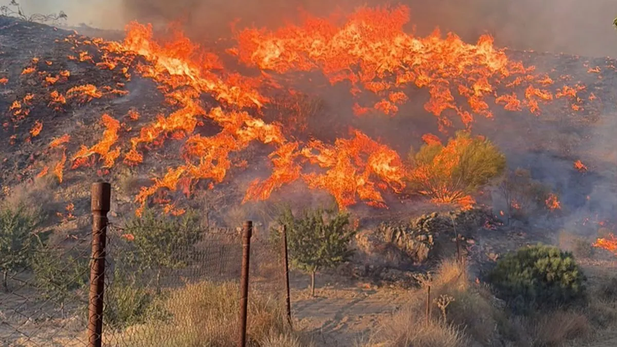 El PSOE exige investigar la gestión del incendio en Almería