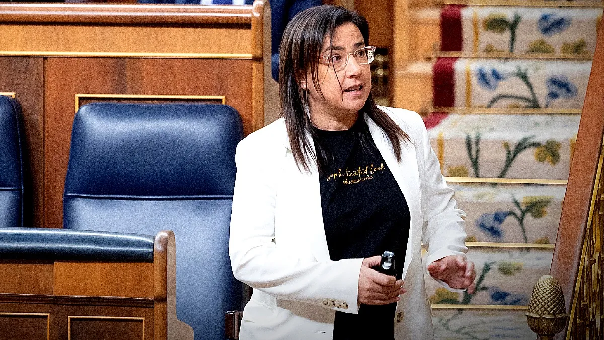 Asesor del PP admite verter gas pimienta en el Congreso